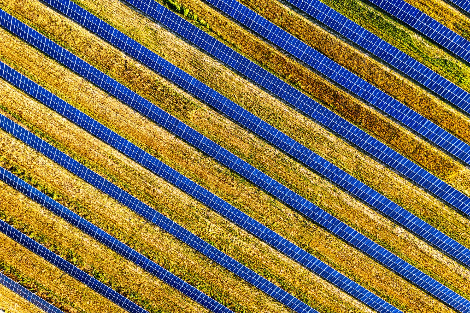 Solar panel arrays photographed straight down from the air